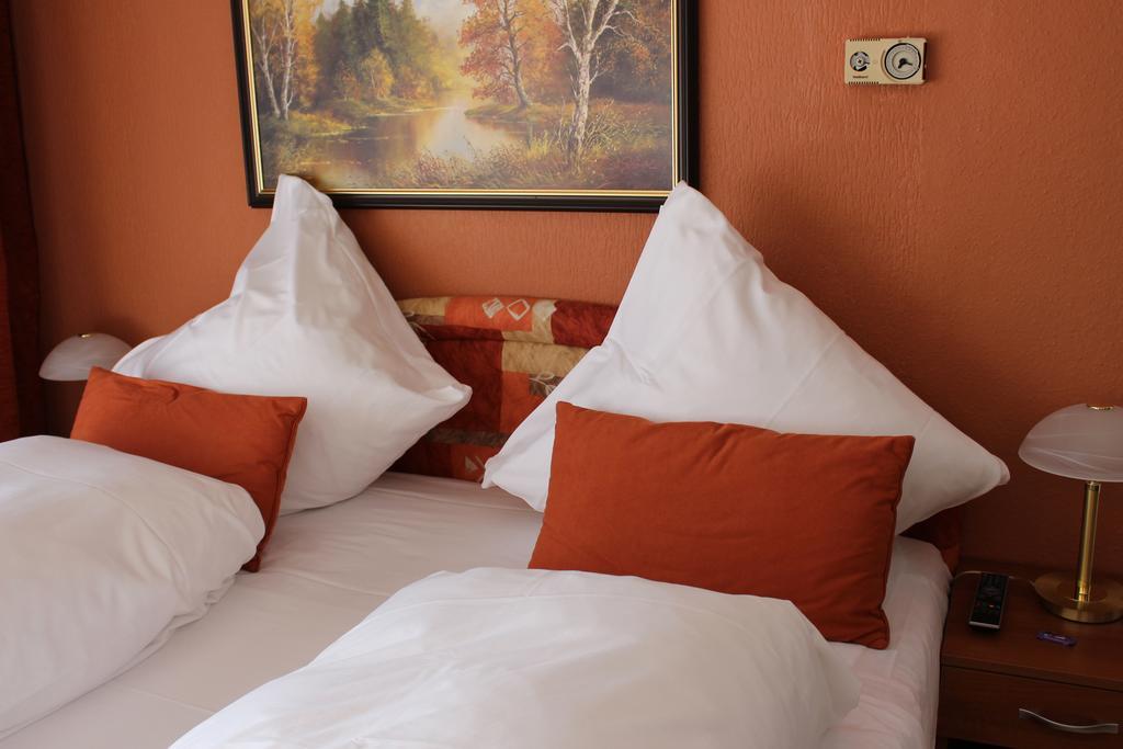 Legend Hotel Biebesheim am Rhein 部屋 写真