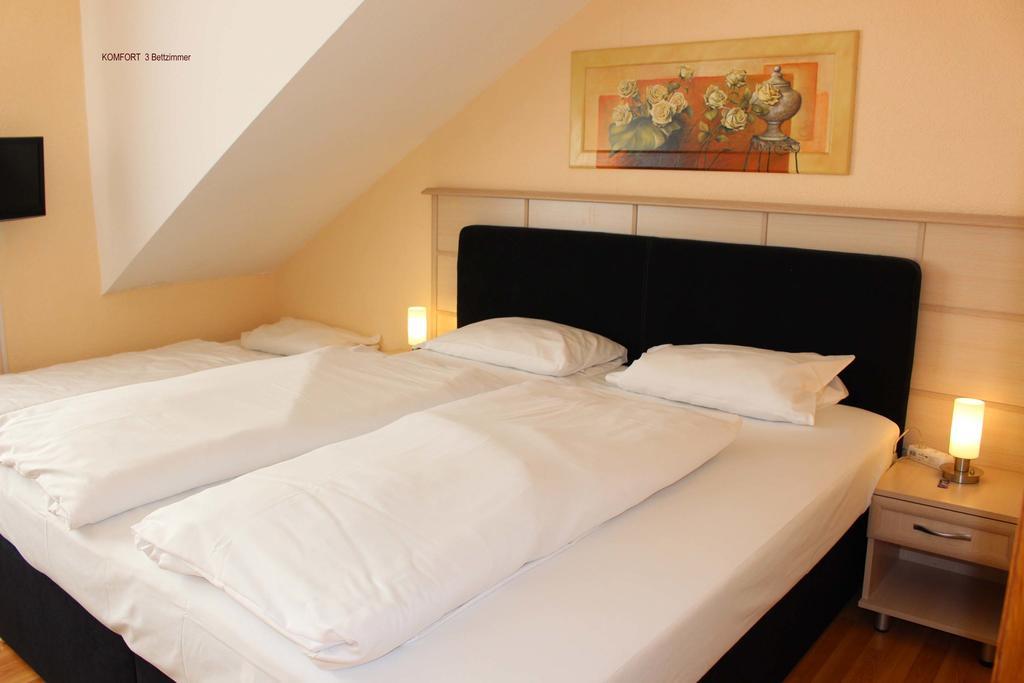 Legend Hotel Biebesheim am Rhein 部屋 写真